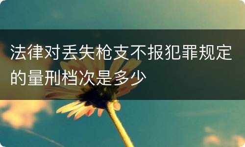 法律对丢失枪支不报犯罪规定的量刑档次是多少