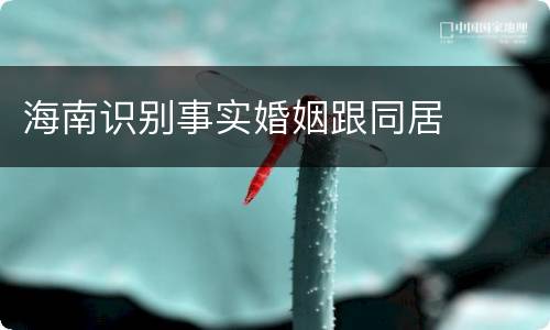 海南识别事实婚姻跟同居