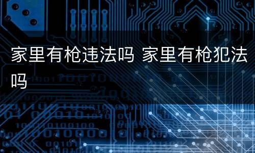 家里有枪违法吗 家里有枪犯法吗