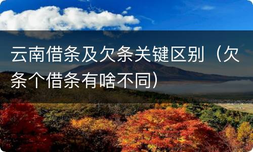 云南借条及欠条关键区别（欠条个借条有啥不同）