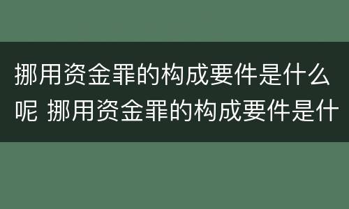 挪用资金罪的构成要件是什么呢 挪用资金罪的构成要件是什么呢怎么写