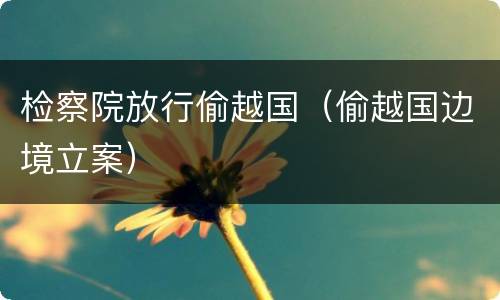 检察院放行偷越国（偷越国边境立案）