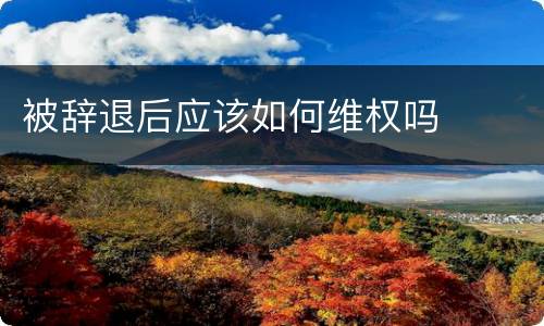 被辞退后应该如何维权吗