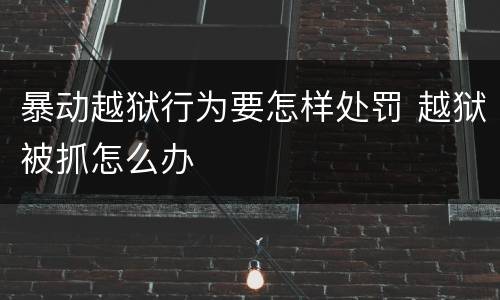 暴动越狱行为要怎样处罚 越狱被抓怎么办
