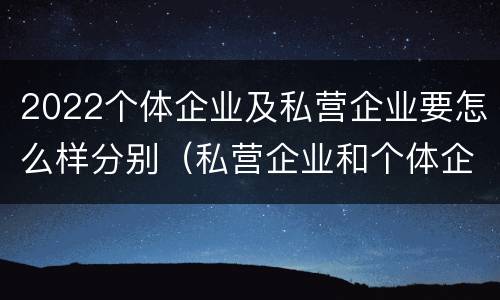 2022个体企业及私营企业要怎么样分别（私营企业和个体企业）