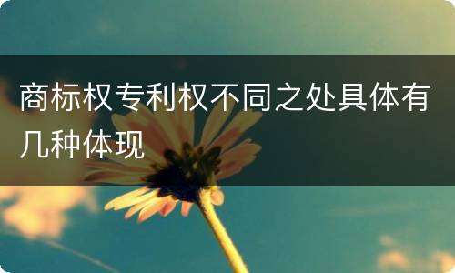 商标权专利权不同之处具体有几种体现