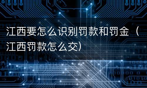 江西要怎么识别罚款和罚金（江西罚款怎么交）