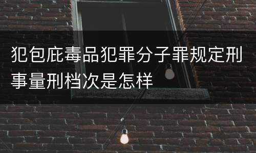 犯包庇毒品犯罪分子罪规定刑事量刑档次是怎样