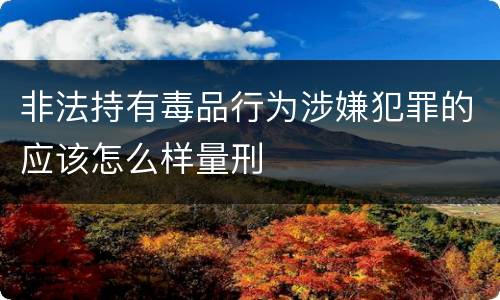 非法持有毒品行为涉嫌犯罪的应该怎么样量刑