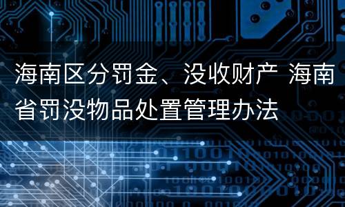 海南区分罚金、没收财产 海南省罚没物品处置管理办法