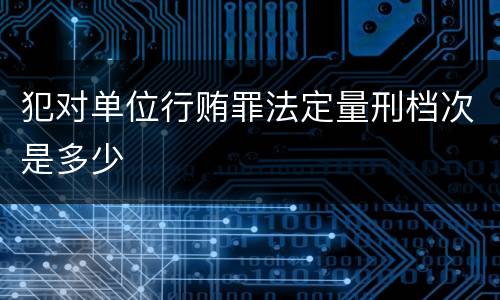 犯对单位行贿罪法定量刑档次是多少