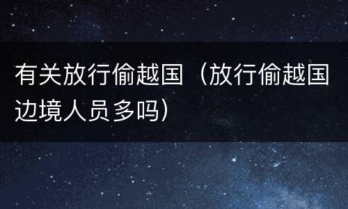有关放行偷越国（放行偷越国边境人员多吗）