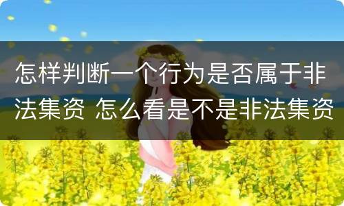 怎样判断一个行为是否属于非法集资 怎么看是不是非法集资