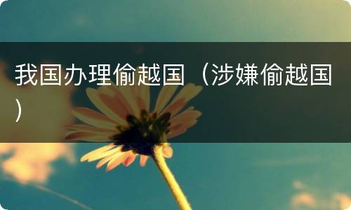 我国办理偷越国（涉嫌偷越国）