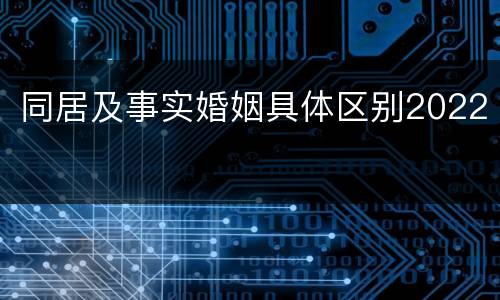 同居及事实婚姻具体区别2022