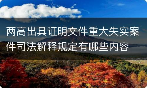 两高出具证明文件重大失实案件司法解释规定有哪些内容