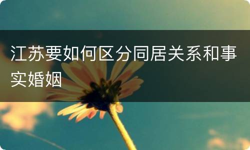 江苏要如何区分同居关系和事实婚姻