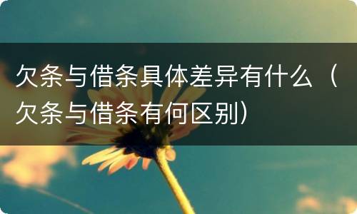 欠条与借条具体差异有什么（欠条与借条有何区别）