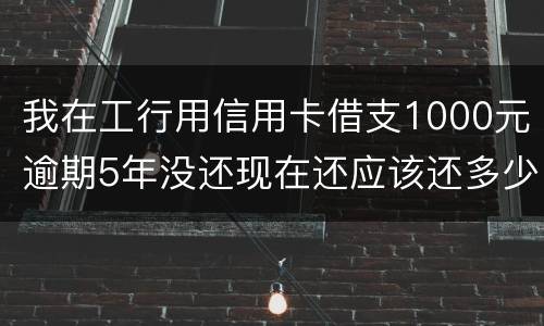 我在工行用信用卡借支1000元逾期5年没还现在还应该还多少
