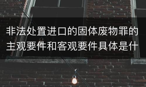 非法处置进口的固体废物罪的主观要件和客观要件具体是什么？