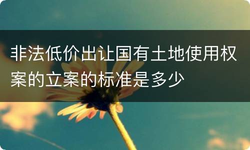 非法低价出让国有土地使用权案的立案的标准是多少