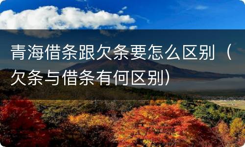 青海借条跟欠条要怎么区别（欠条与借条有何区别）