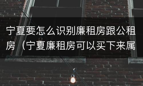 宁夏要怎么识别廉租房跟公租房（宁夏廉租房可以买下来属于自己吗）