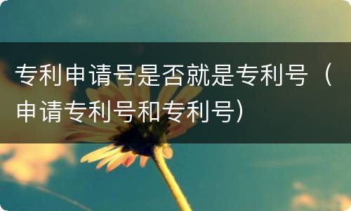 专利申请号是否就是专利号（申请专利号和专利号）