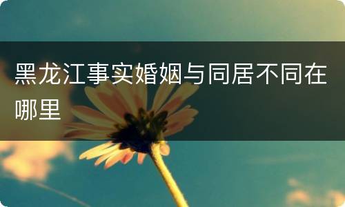 黑龙江事实婚姻与同居不同在哪里