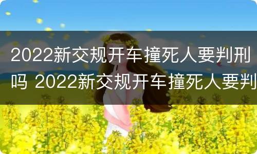 2022新交规开车撞死人要判刑吗 2022新交规开车撞死人要判刑吗视频