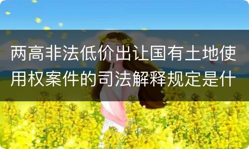 两高非法低价出让国有土地使用权案件的司法解释规定是什么