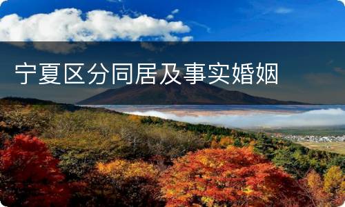 宁夏区分同居及事实婚姻