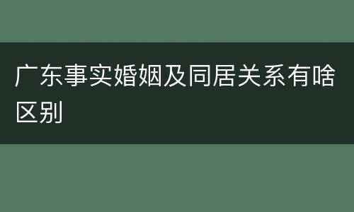 广东事实婚姻及同居关系有啥区别