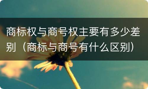 商标权与商号权主要有多少差别（商标与商号有什么区别）