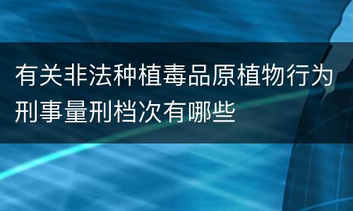 有关非法种植毒品原植物行为刑事量刑档次有哪些
