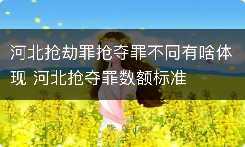 河北抢劫罪抢夺罪不同有啥体现 河北抢夺罪数额标准