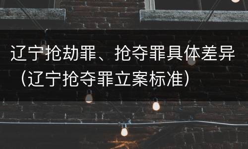 辽宁抢劫罪、抢夺罪具体差异（辽宁抢夺罪立案标准）