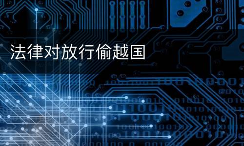 法律对放行偷越国