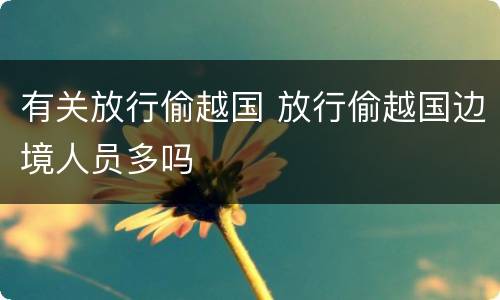 有关放行偷越国 放行偷越国边境人员多吗