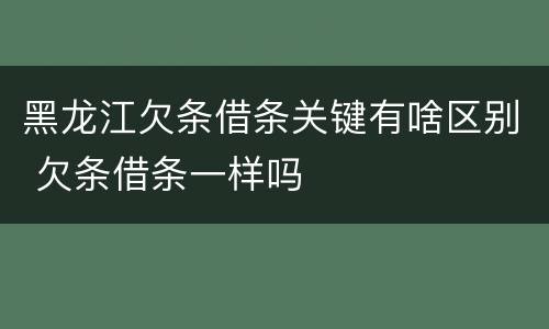 黑龙江欠条借条关键有啥区别 欠条借条一样吗