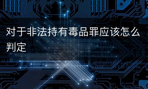 对于非法持有毒品罪应该怎么判定