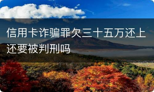 信用卡诈骗罪欠三十五万还上还要被判刑吗