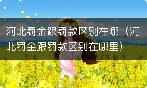 河北罚金跟罚款区别在哪（河北罚金跟罚款区别在哪里）