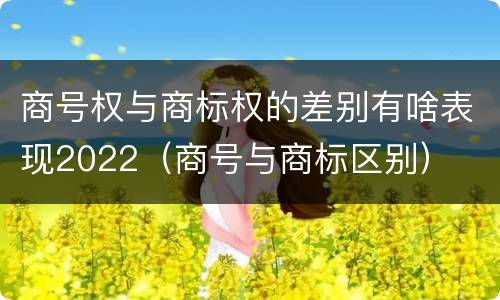 商号权与商标权的差别有啥表现2022（商号与商标区别）