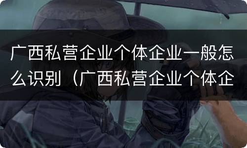 广西私营企业个体企业一般怎么识别（广西私营企业个体企业一般怎么识别的）