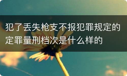 犯了丢失枪支不报犯罪规定的定罪量刑档次是什么样的