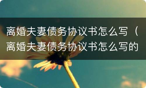 离婚夫妻债务协议书怎么写（离婚夫妻债务协议书怎么写的）