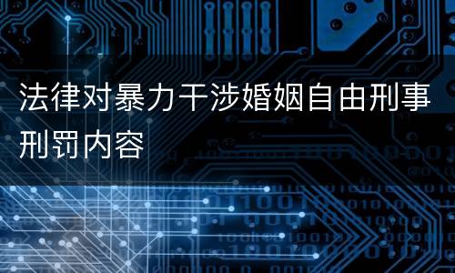 法律对暴力干涉婚姻自由刑事刑罚内容