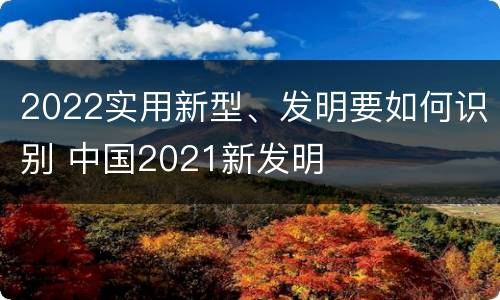 2022实用新型、发明要如何识别 中国2021新发明