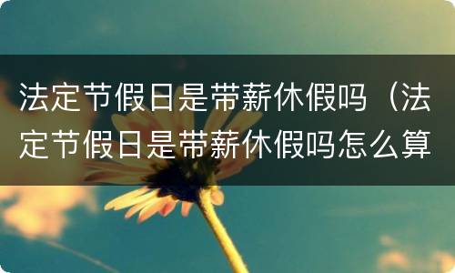 法定节假日是带薪休假吗（法定节假日是带薪休假吗怎么算）